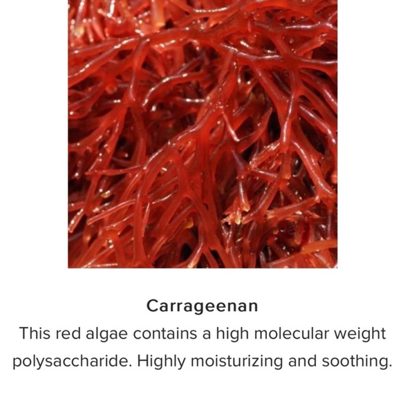 REPECHAGE Beauty from the Sea 🐚C- Serum - Picture 9 of 9